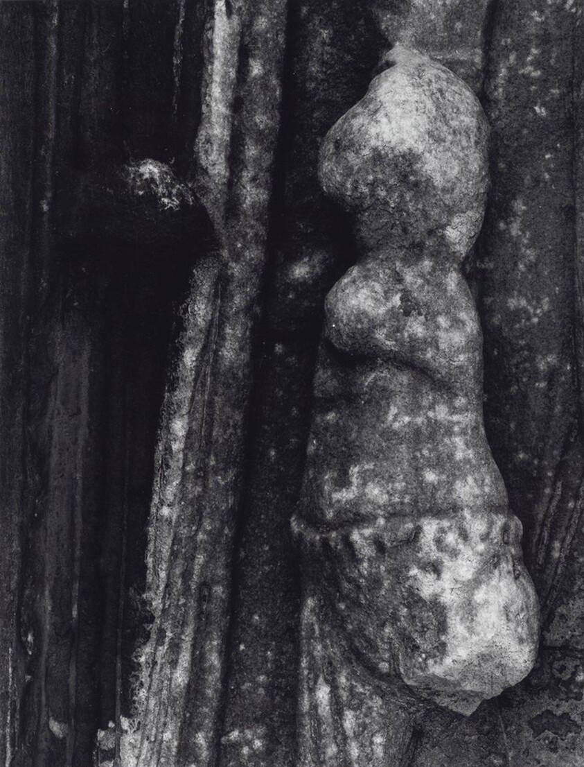 Rome:  Arch of Constantine 5