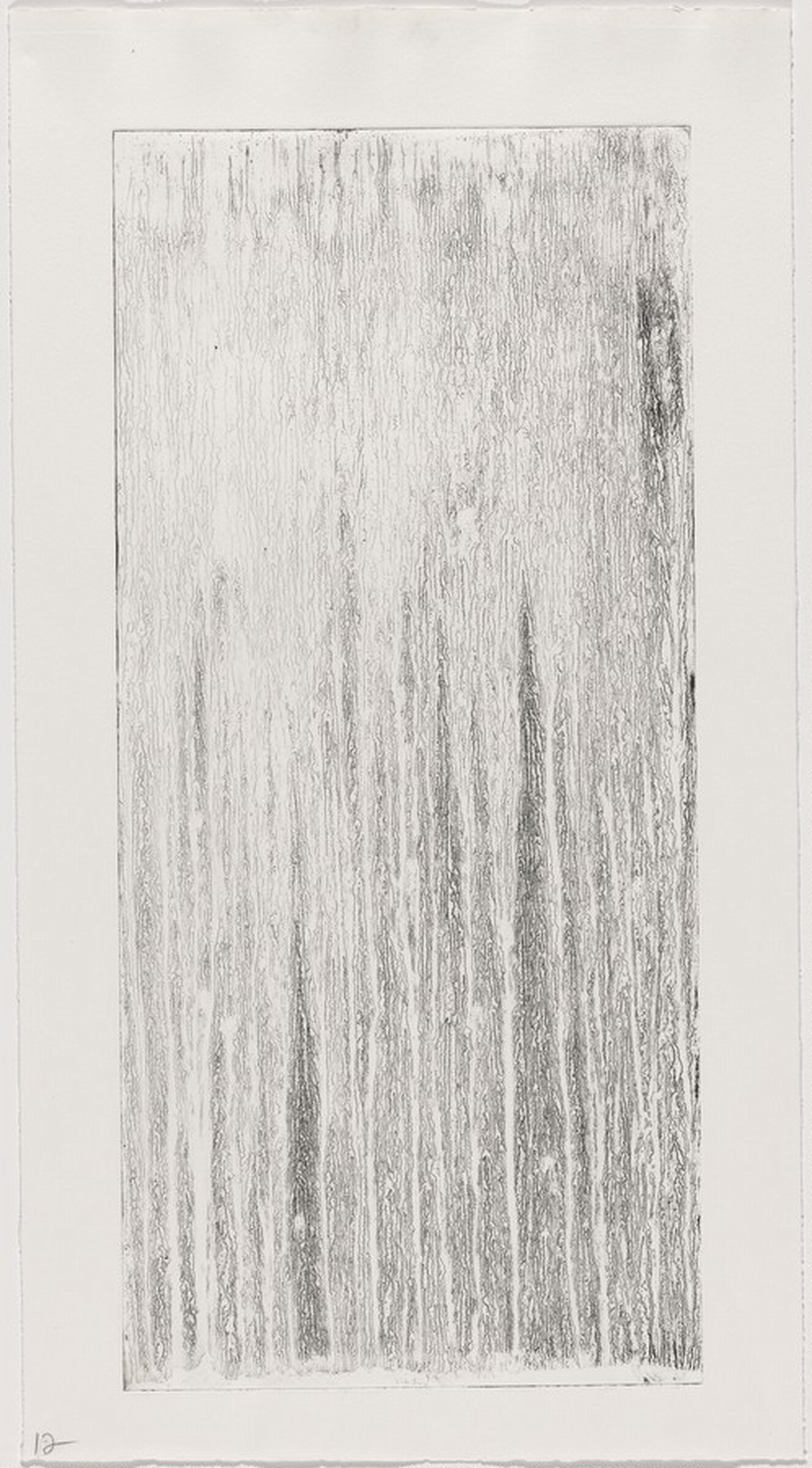 A Walk in the Woods [working proof 1 for Center Panel], Пэт Стейр, 2000