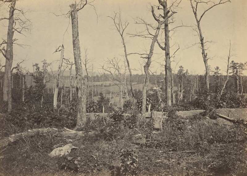 Damaged branches of leafless trees twist against a blank sky in this horizonal black and white photograph. Blasted and fallen trunks lie in scrubby growth along the bottom third of the picture. A structure is visible on a far hill near the horizon, just right of center.