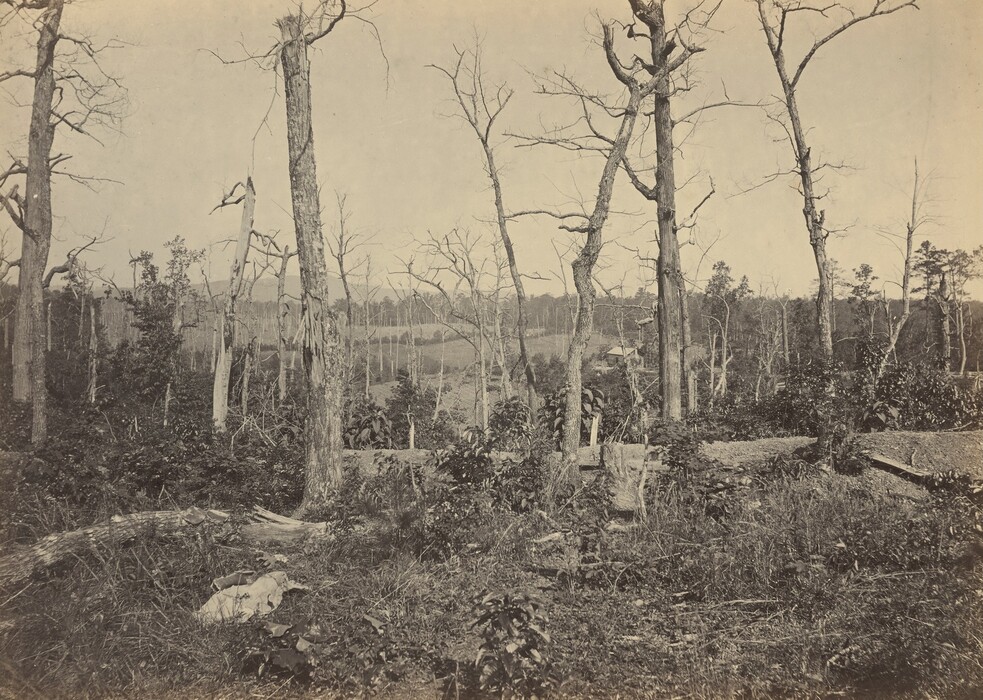 Damaged branches of leafless trees twist against a blank sky in this horizonal black and white photograph. Blasted and fallen trunks lie in scrubby growth along the bottom third of the picture. A structure is visible on a far hill near the horizon, just right of center.