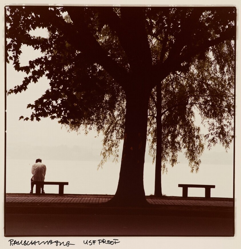 Study for Chinese Summerhall