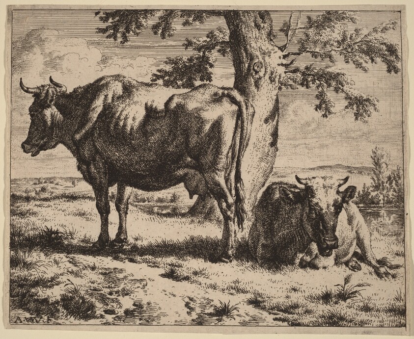 Two Cows under a Tree