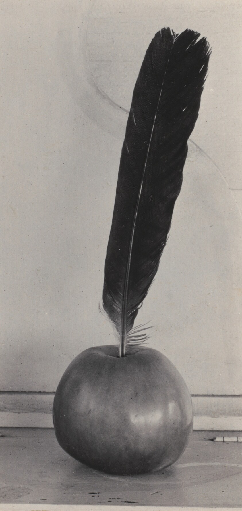 Crow's Feather and Apple