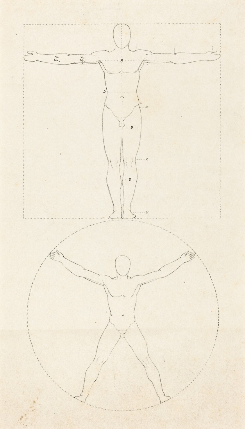 Circle and Square of the Human Figure
