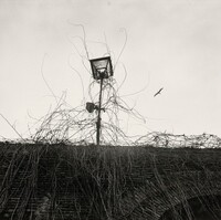 Rome, Italy, Graciela Iturbide, 2007, printed 2012