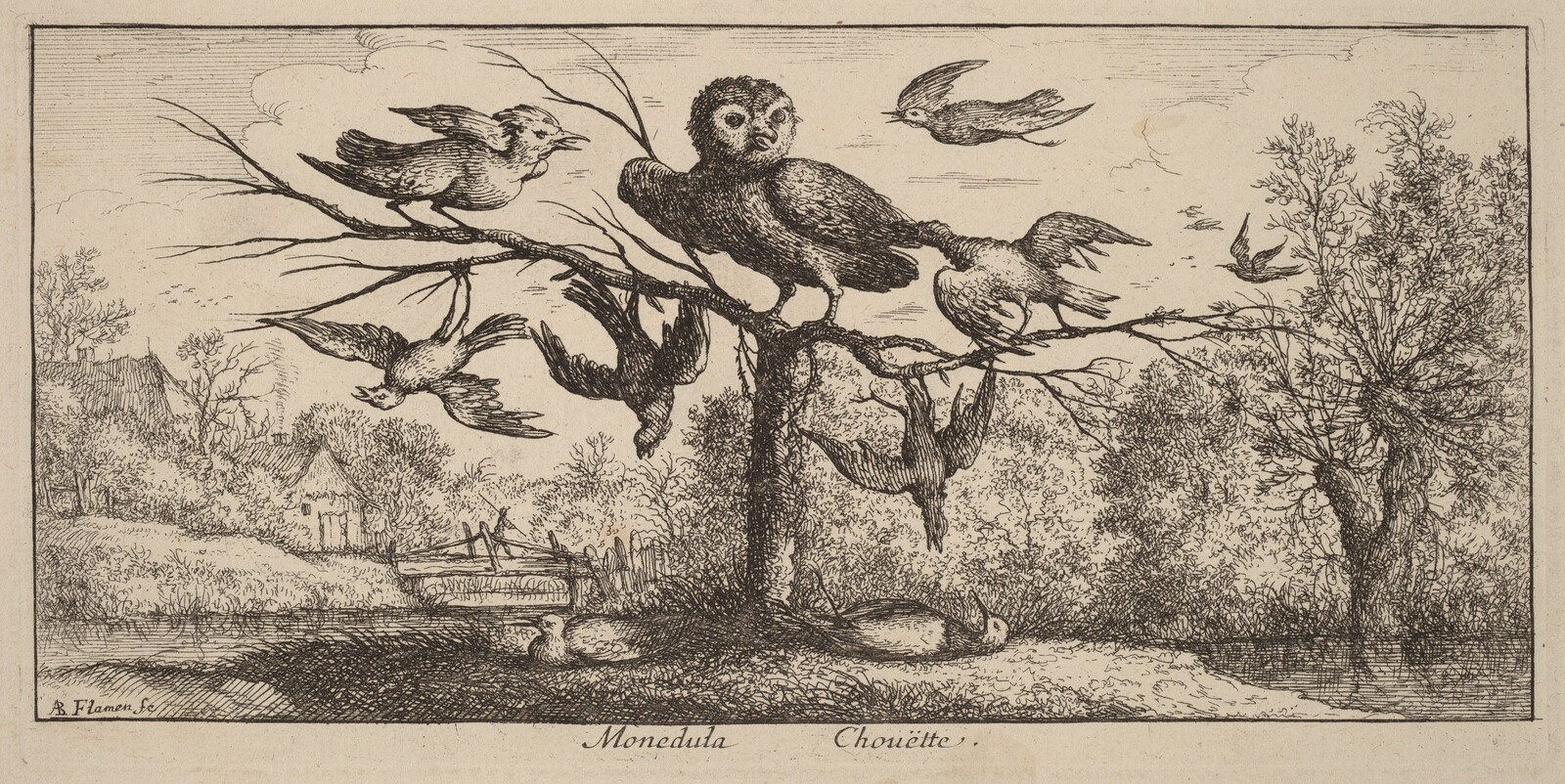 Monedula, The Owl, Albert Flamen