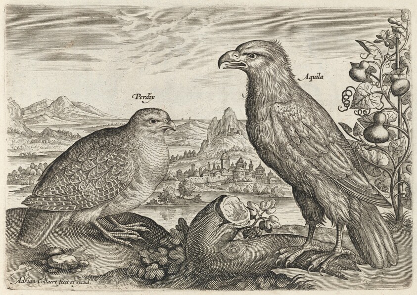 Partridge and Eagle