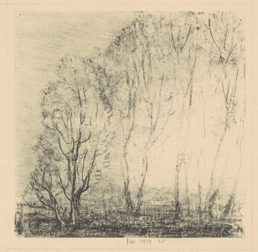 Sunset Through the Trees