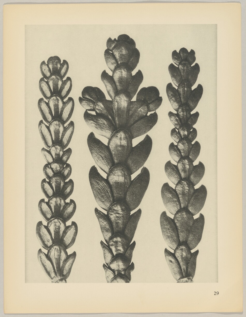 The image shows three large, vertically oriented objects with a detailed, textured surface in various shades of grey. The objects are arranged side by side, with the tallest and widest object in the center, and two slightly smaller objects on either side. Numbers in the bottom right corner suggest it is a page from a book.