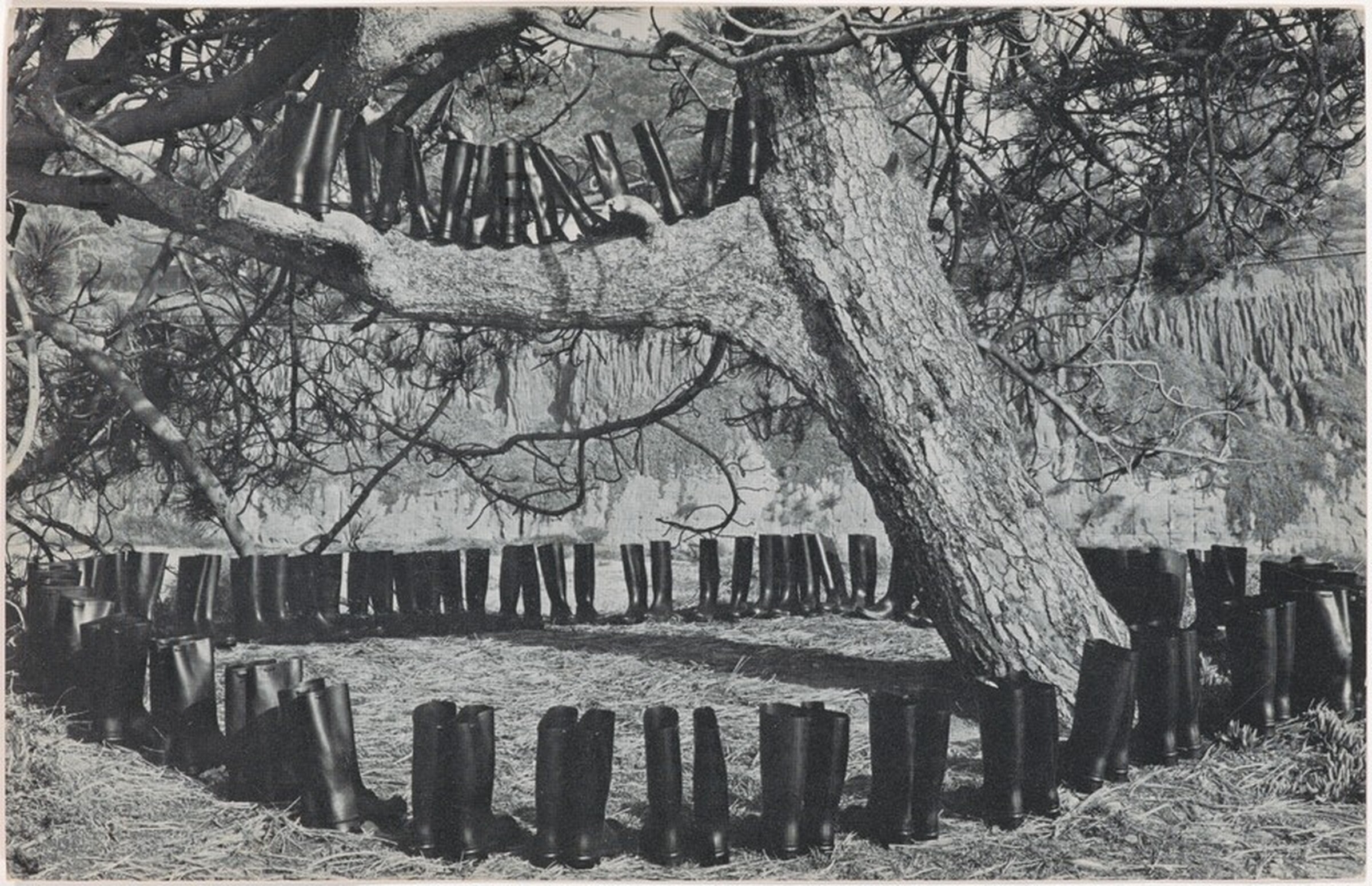 100 Boots in a Field. Route 101, California. February 9, 1971, 3:30 p.m., Eleanor Antin, 1971