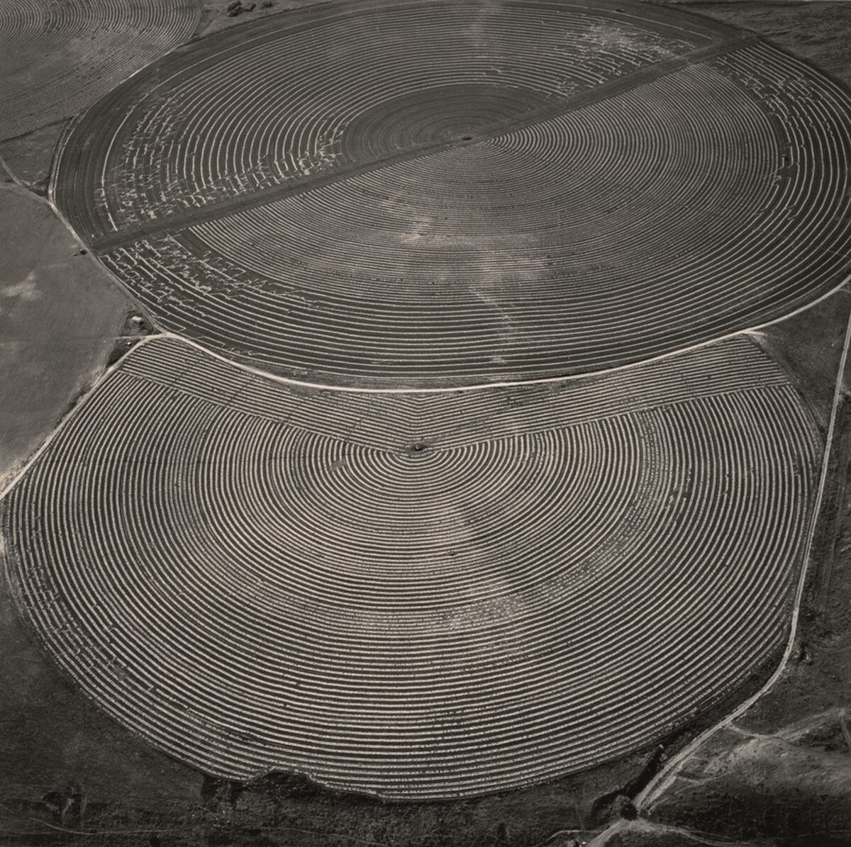 Pivot Agriculture on the Snake River Plain near the Confluence of the Snake and Columbia Rivers, Washington