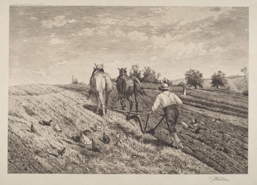 The Ploughman