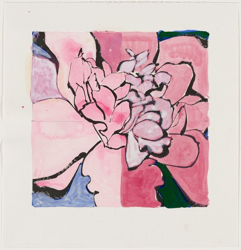 Camellia Red [working proof 2]