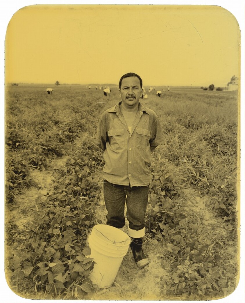 Alvaro Sosa, Angola, Louisiana