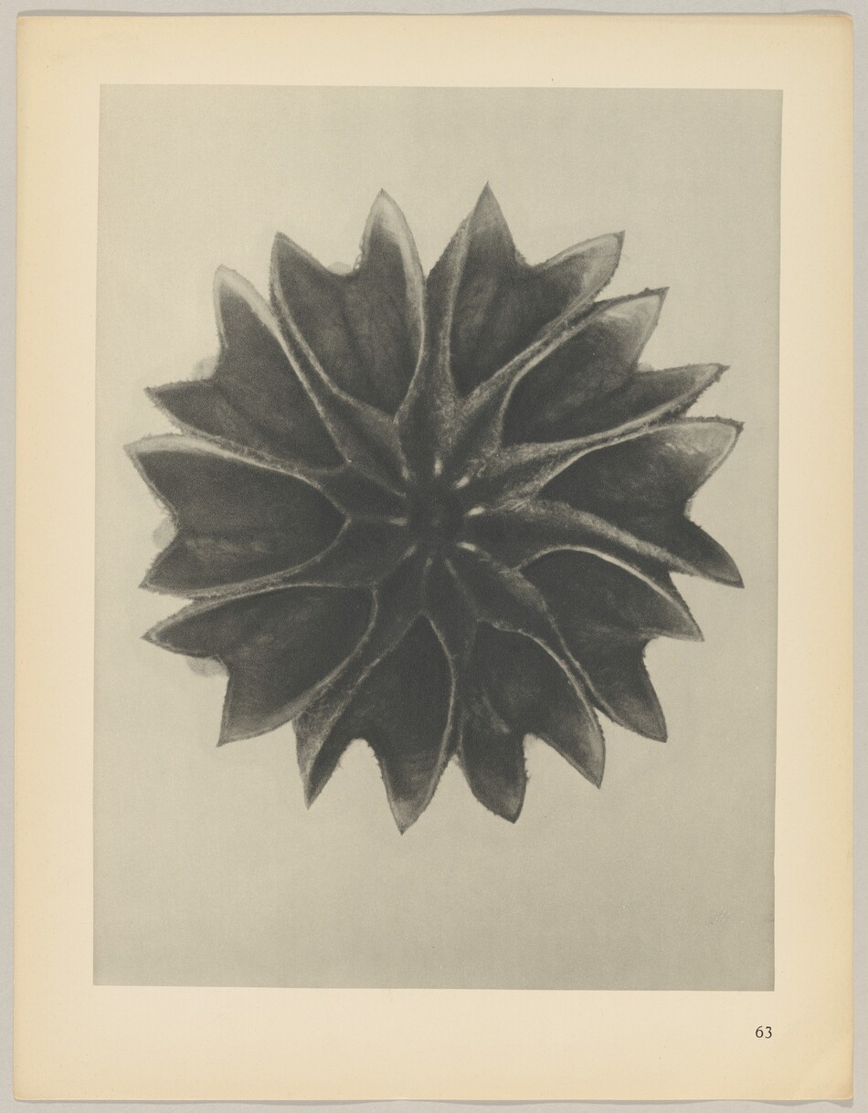 The image displays a star-shaped object in shades of gray against a light gray background. The object is positioned centrally with symmetrical points radiating outwards. In the bottom right corner, the number "63" is visible.