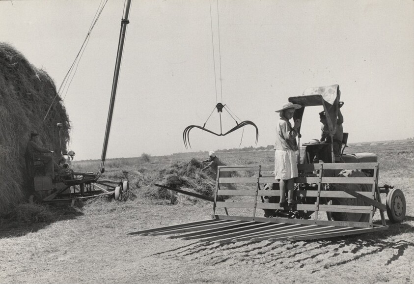 Collective Farm, Uzbekistan