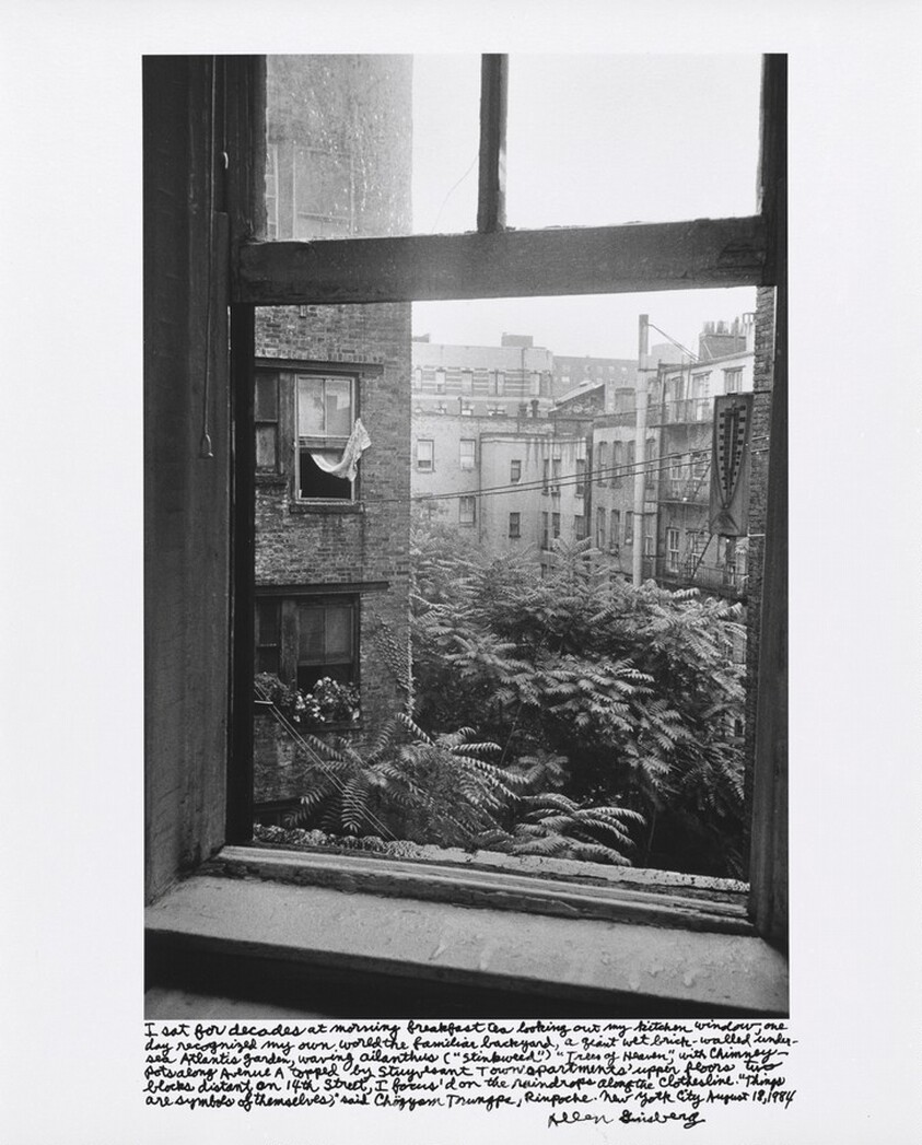 I sat for decades at morning breakfast tea looking out my kitchen window, one day recognized my own world the familiar backyard, a giant wet brick-walled undersea Atlantis garden, waving ailanthus (“stinkweed”) “Trees of Heaven,” with chimney pots along Avenue A topped by Stuyvesant Town apartments’ upper floors two blocks distant on 14th Street, I focus’d on the raindrops along the clothesline. “Things are symbols of themselves,” said Chögyam Trungpa Rinpoche. New York City August 18, 1984