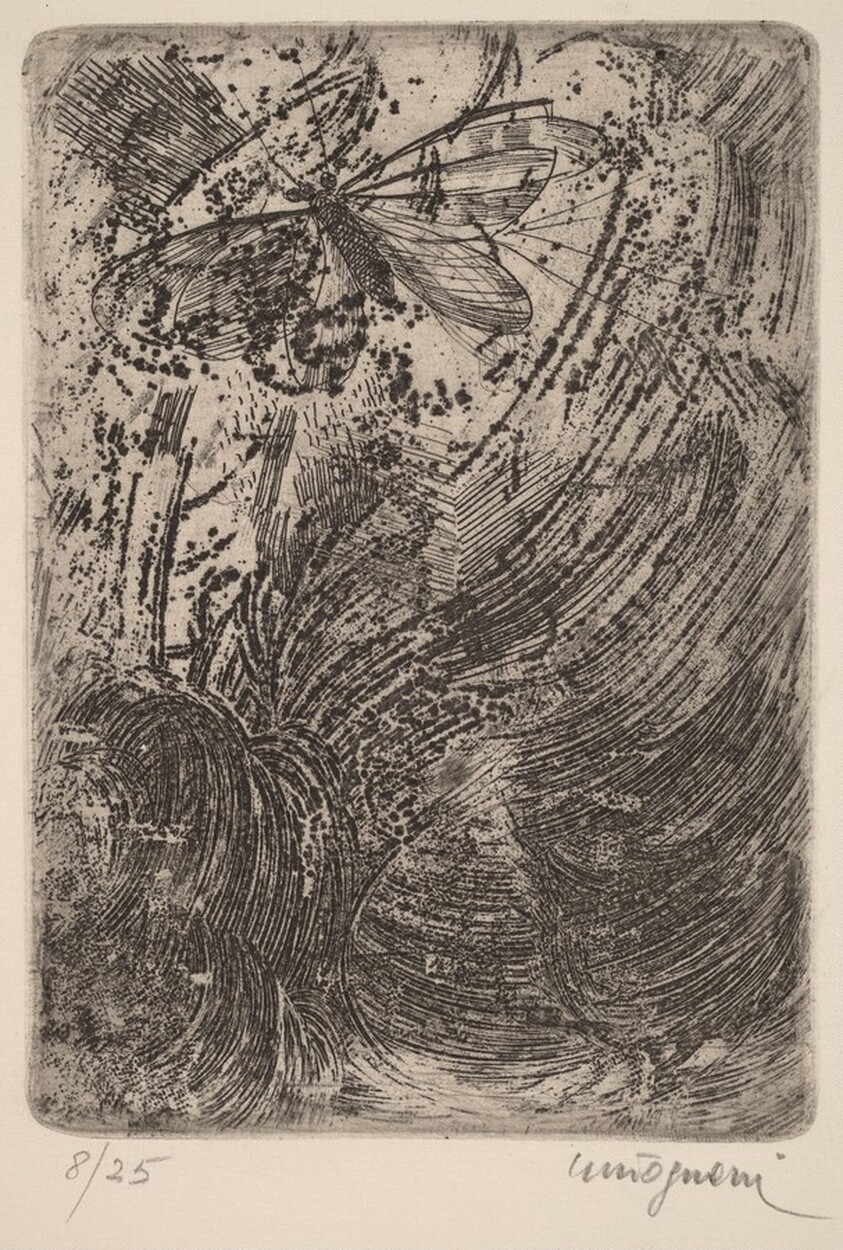 Farfalla (Butterfly)