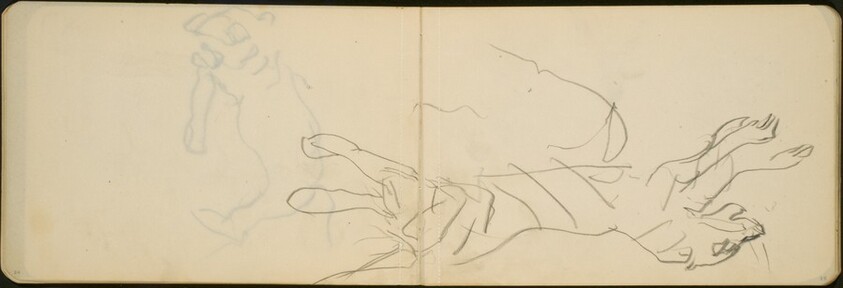 Springender Tiger (Tiger Leaping) [p. 24-25]