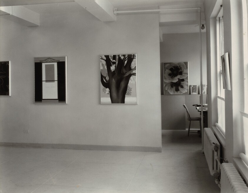 Georgia O'Keeffe—Exhibition at An American Place
