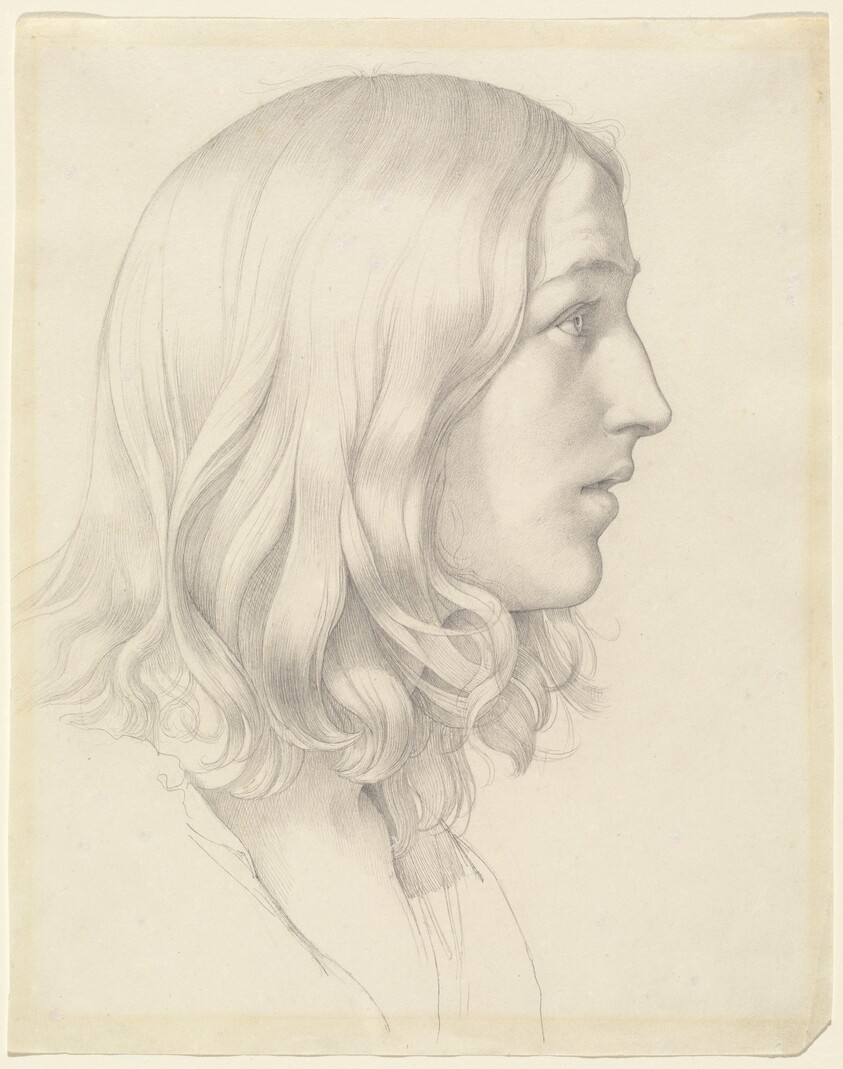 Head of a Young Man