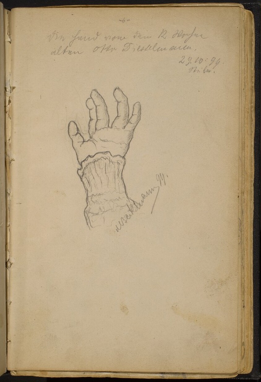 Study of a Left Hand