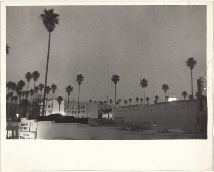 Buildings at dusk--Los Angeles
