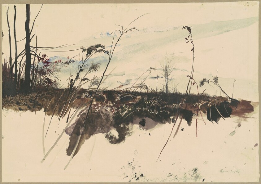 November Fields, Chadds Ford, Pennsylvania