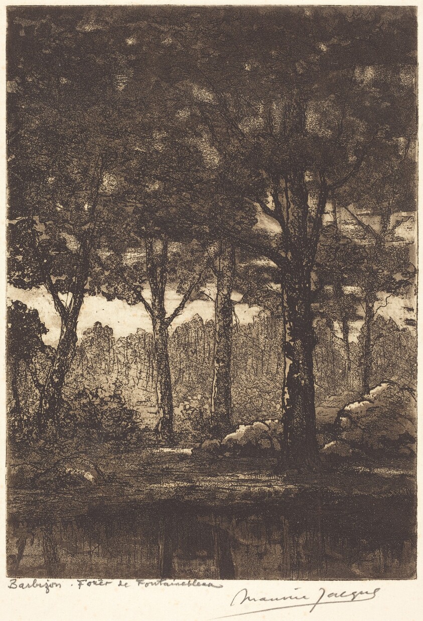 Barbizon: Foret de Fontainbleau