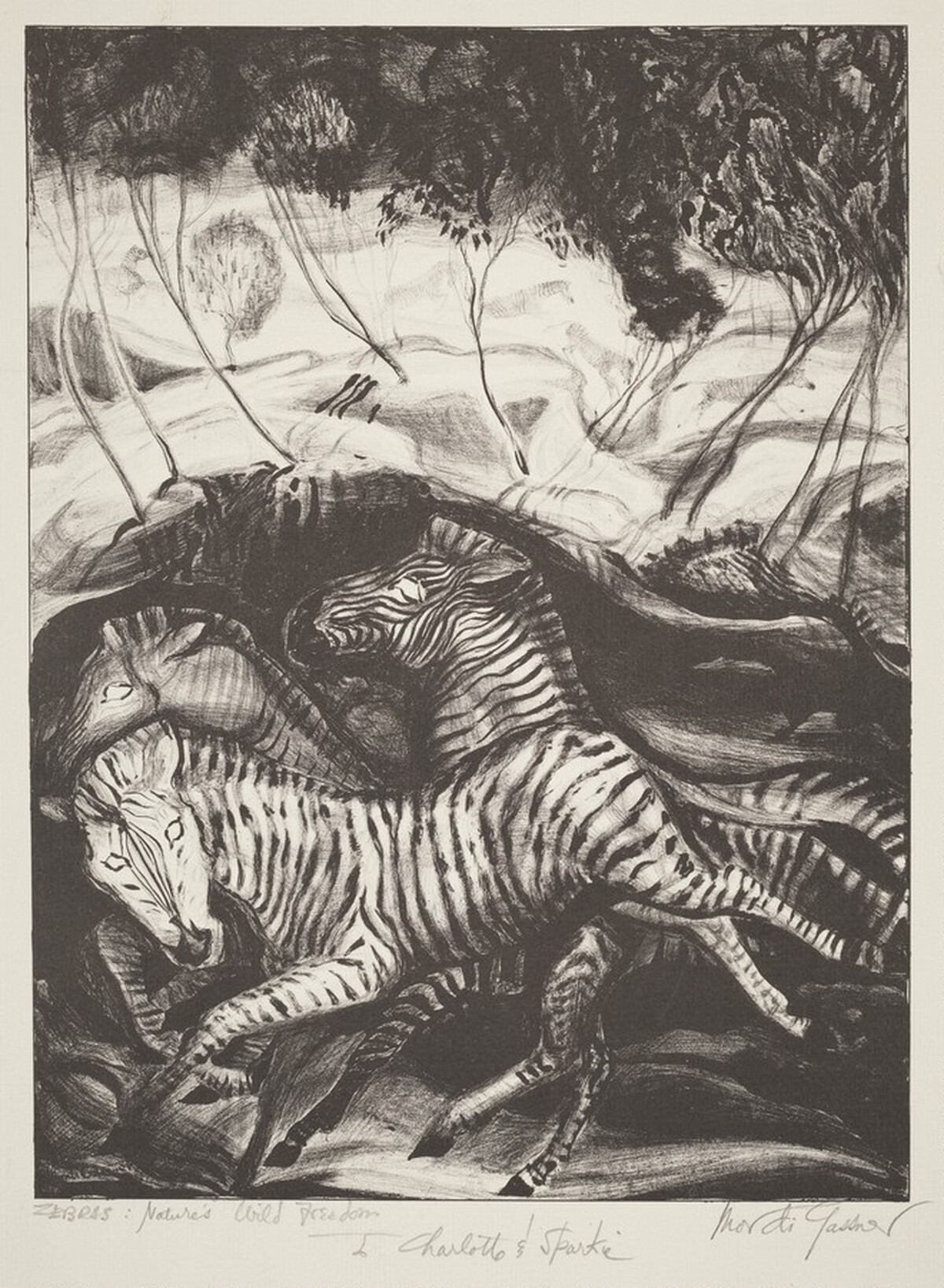 Zebras: Nature's Wild Freedom