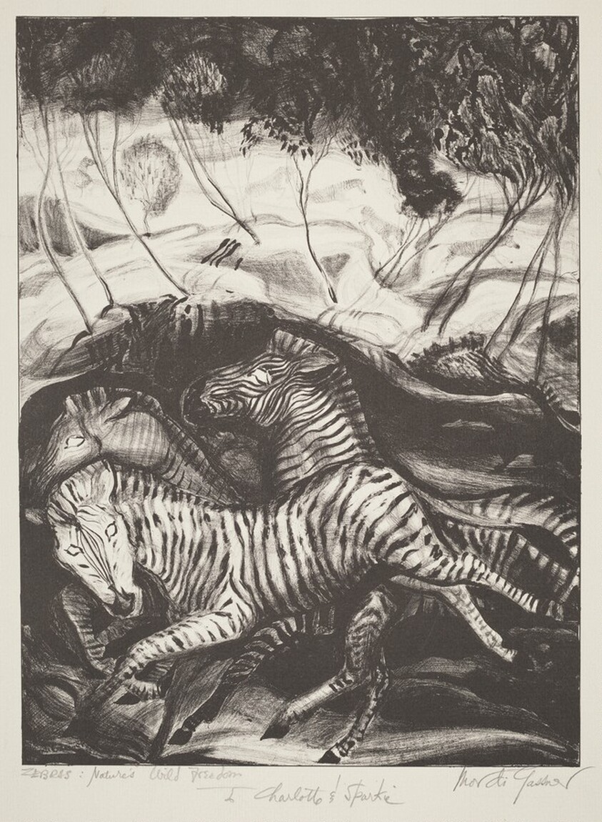 Zebras: Nature's Wild Freedom