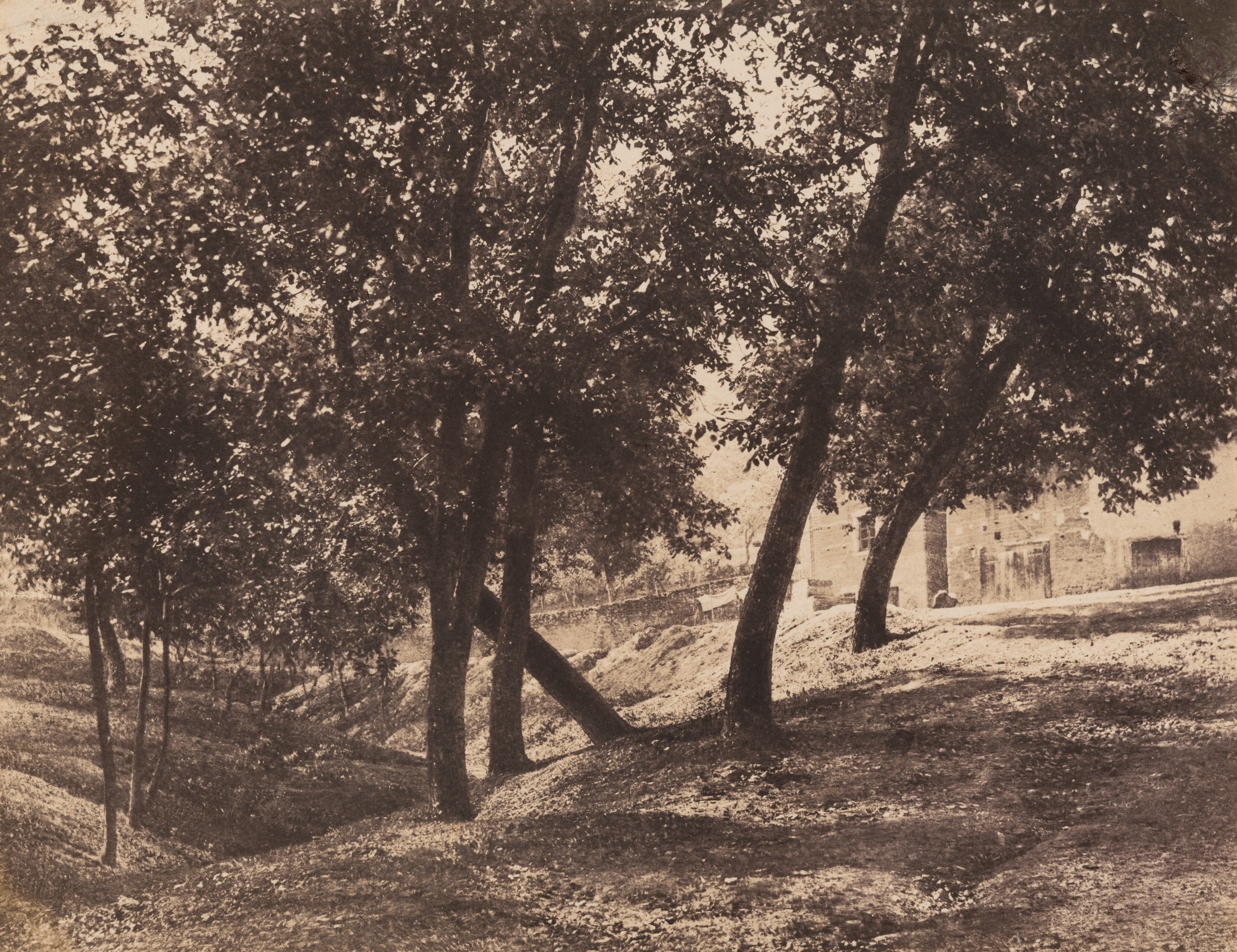 Forest Interior with a Painter, Civita Castellana by André