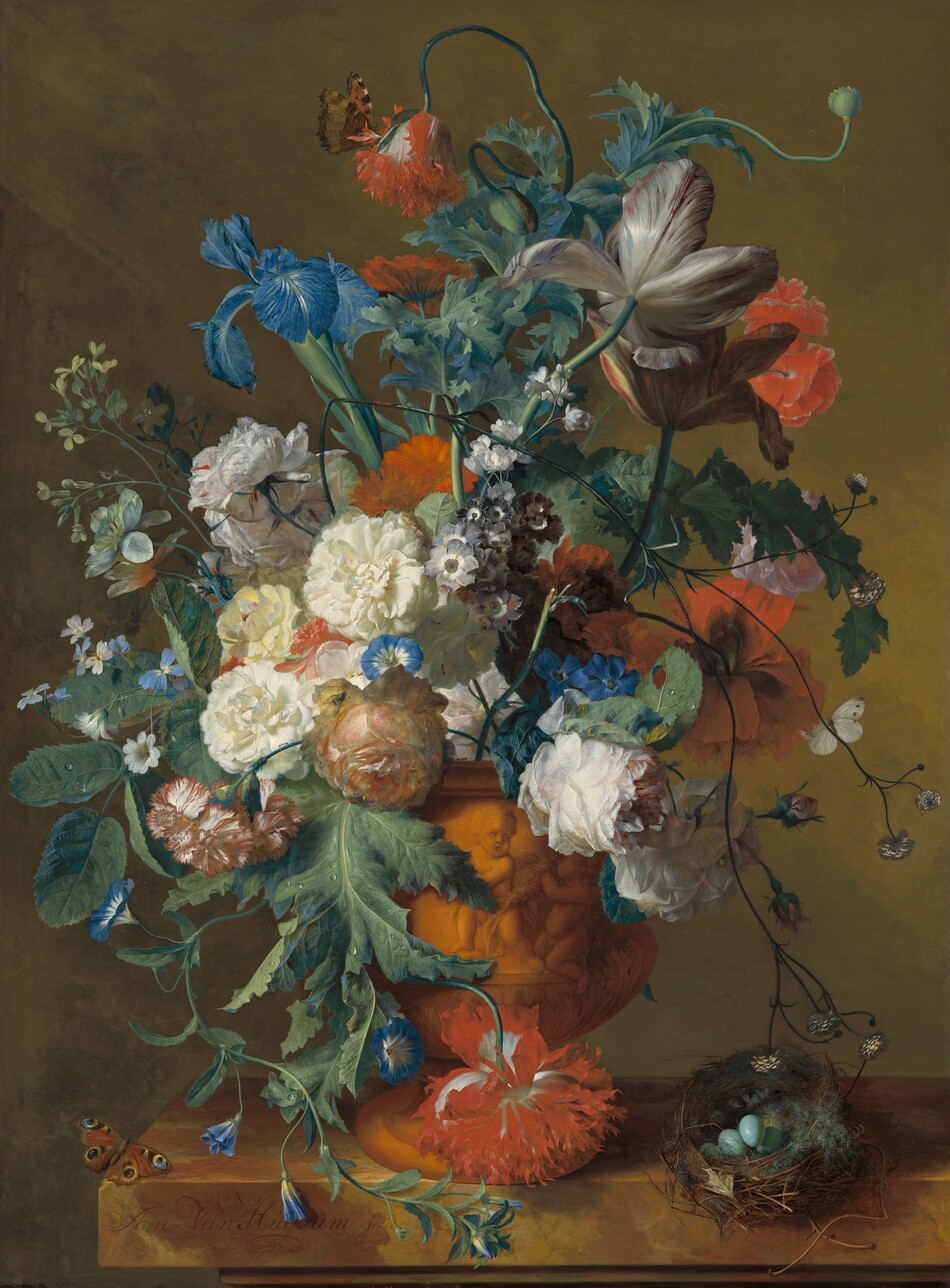 A tall arrangement of blue irises, cream-white carnations, violets, peonies, tulips, and other azure-blue, white, and scarlet-red flowers in a terracotta urn carved with child-like putti takes up most of the space of this vertical still life painting. The arrangement is warmly lit from the upper left and sits near a corner of a stone ledge veined in caramel brown and golden yellow. The ledge extends off the right edge of the painting. Most of the flowers face us but some face away or droop down. Leggy tulips in full bloom rise high in the bouquet. A cluster of white peonies veined lightly with pale pink are gathered near a crimson-edged white carnation and vivid blue forget-me-nots near the center, above the urn. The stems and blossoms of other flowers swirl and twist through the arrangement. A small brown and orange butterfly with black spots perches with wings slightly open on a scarlet-red poppy at the top center. Another butterfly sits with wings spread near the front corner of the ledge. Black circles surrounded by rings that blend from sapphire blue to butter yellow look like eyes at the tips of each of the four wings. A third butterfly with white wings is partly visible behind the petals of a ruby-red peony in the lower right. A small bird’s nest woven with twigs and green moss sits to our right of the urn, and is filled with four blue eggs. The background behind the arrangement is streaked with sable brown and mustard yellow. The signature of the artist is written in cursive on the face of the stone ledge near the corner, “Jan Van Huysum fecit.”