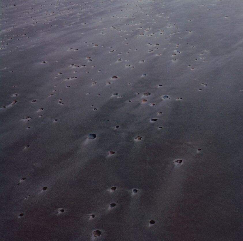 Beach and Shells, Horseneck Beach, Massachusetts