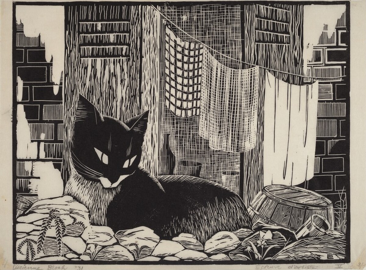 Backyard Cat (large version)