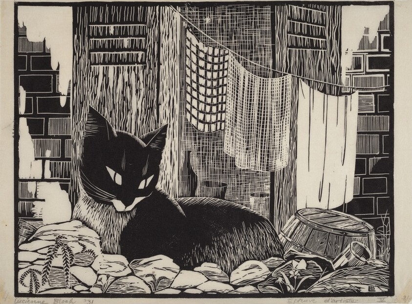 Backyard Cat (large version)