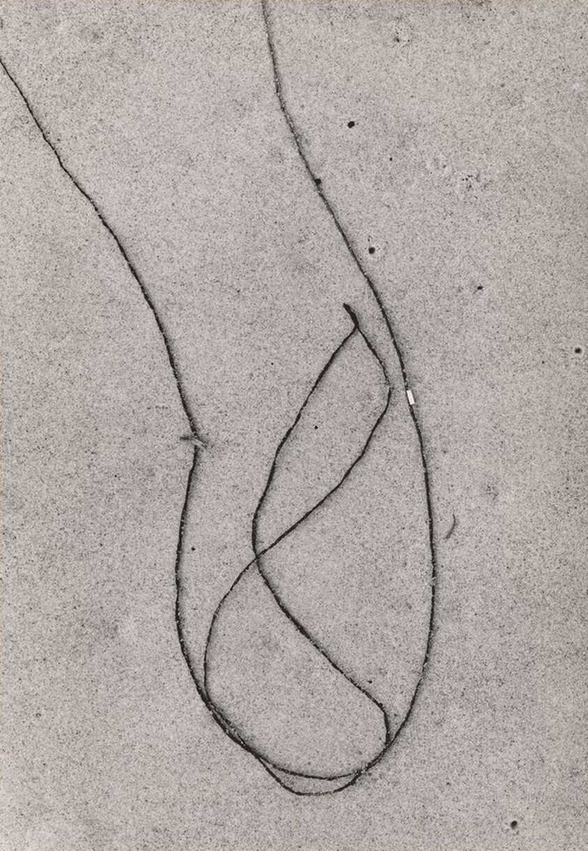 Martha's Vineyard 12