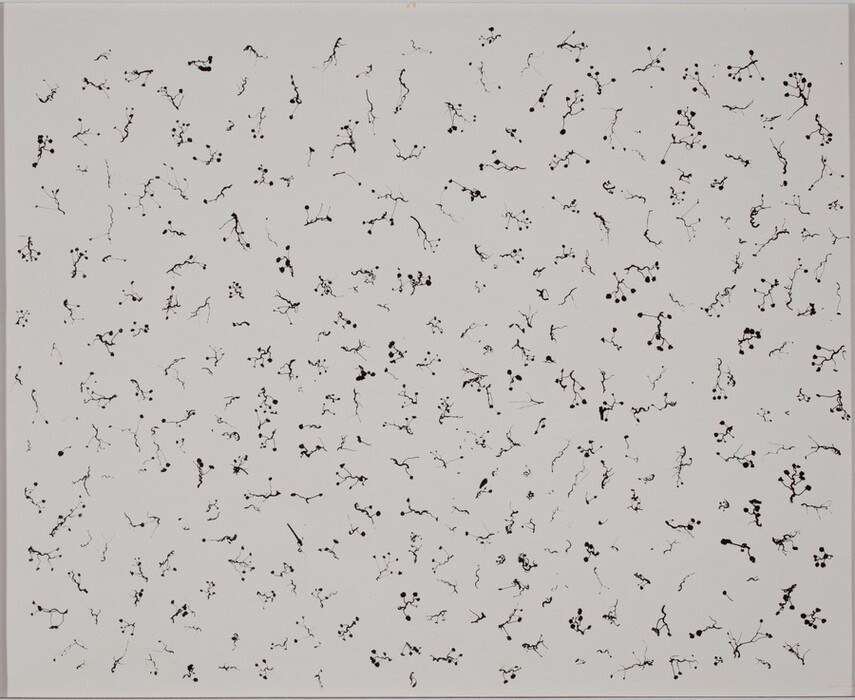 The image displays abstract black lines on a white background. The lines branch out into smaller lines with clustered dots. The composition resembles natural growth like root systems or neural pathways, forming unique patterns.