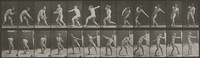 Plate Number 284. Baseball, catching and throwing, Eadweard Muybridge, 1887