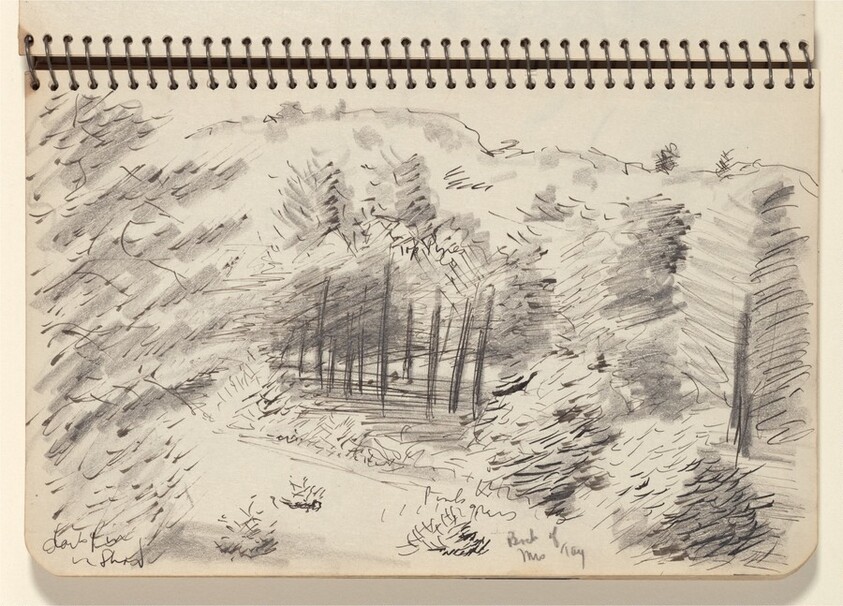 Wooded Landscape