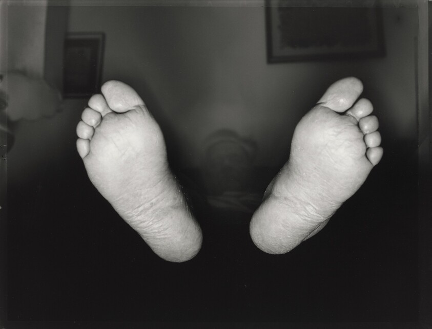 December 19, 1992, Palm Harbor, Florida