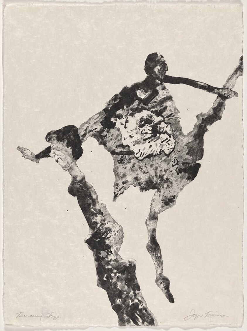 Untitled from Mirrored Couple