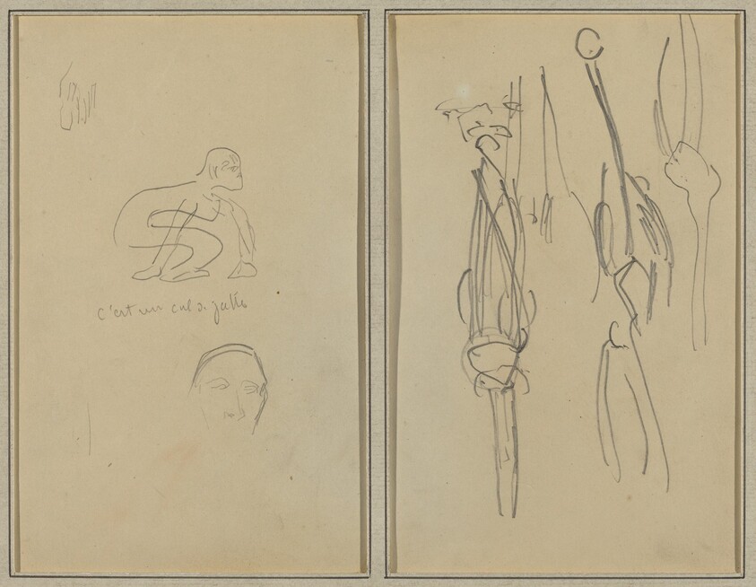 Crouching Monkey and Man's Head; Bones and Muscles [verso]