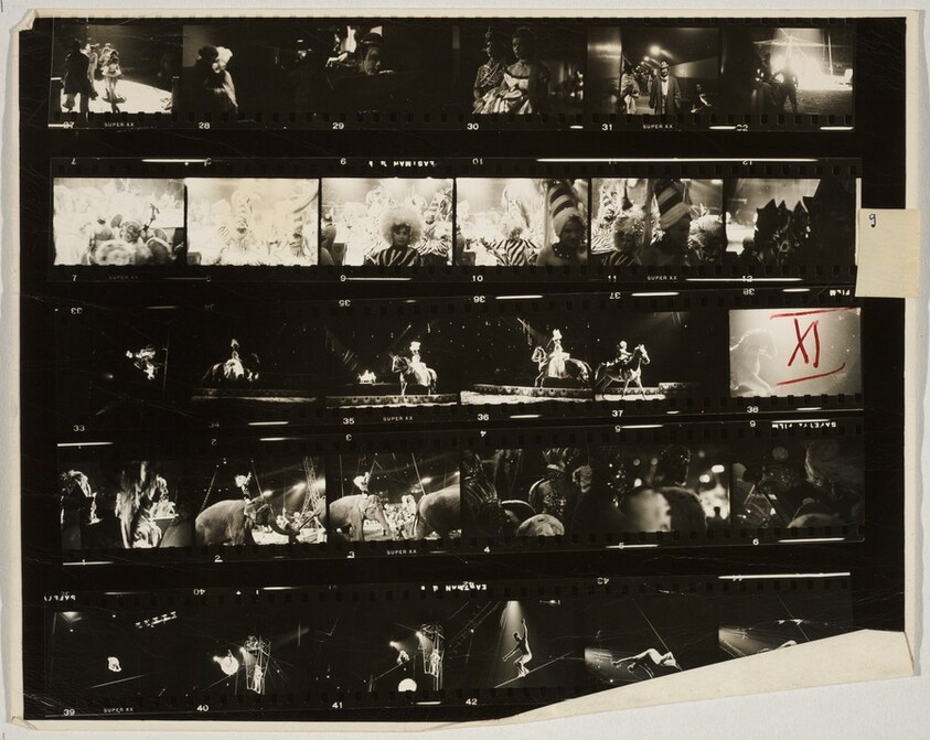 Circus--New York City XI