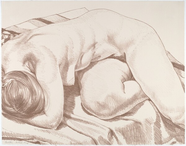Nude Curled Up