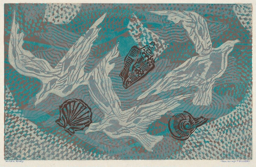 Sea Wings and Shells