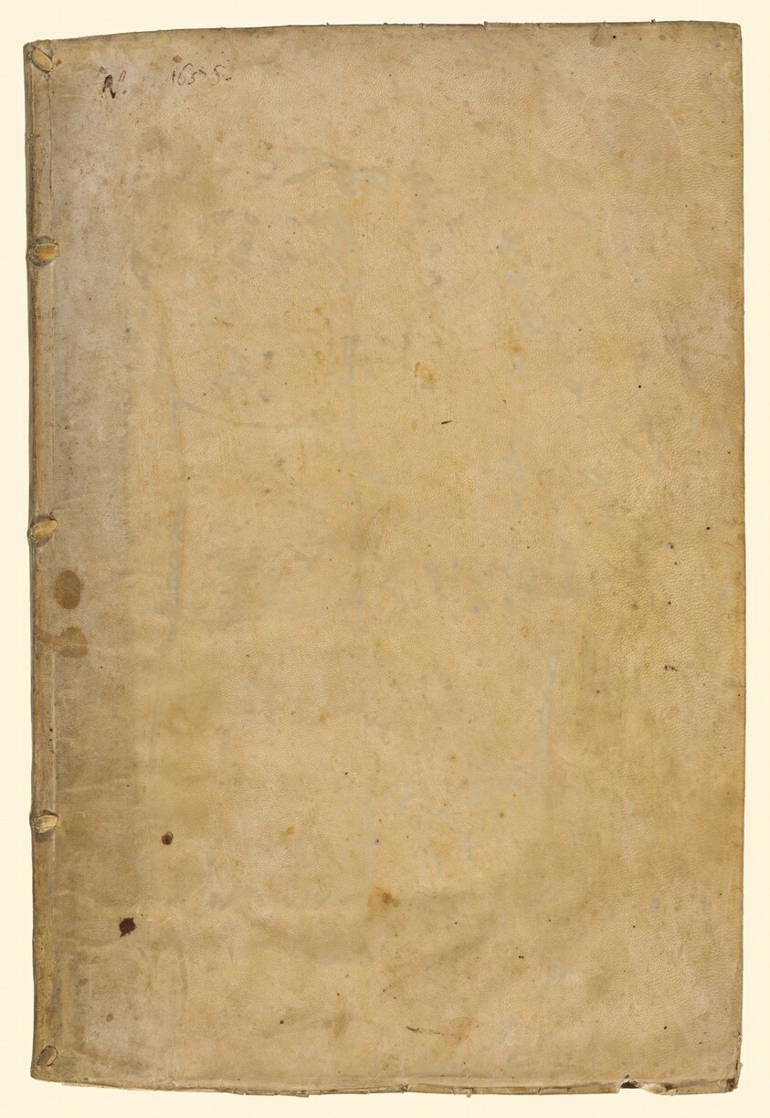 Feste celebrate in Napoli per la nascita del serenissimo prencipe di Spagna