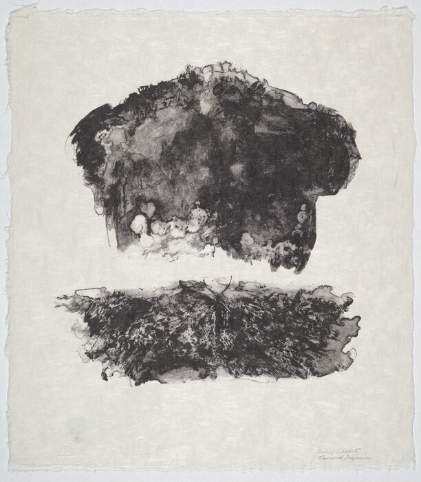 The image shows two large, irregular dark shapes against a light background. The top shape resembles a rugged, cloud-like form while the bottom shape mirrors it in a more textured and feathery manner. The composition evokes natural elements, such as a weathered mountain peak above and dense foliage or a rocky landscape below. The undefined edges and mottled surface of the shapes contribute to their abstract nature.