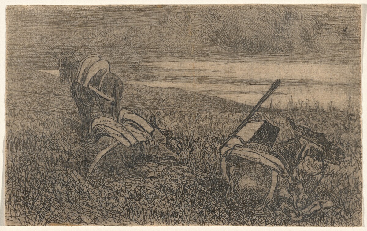 Little Donkeys at Rest (Sosta di somarelli)