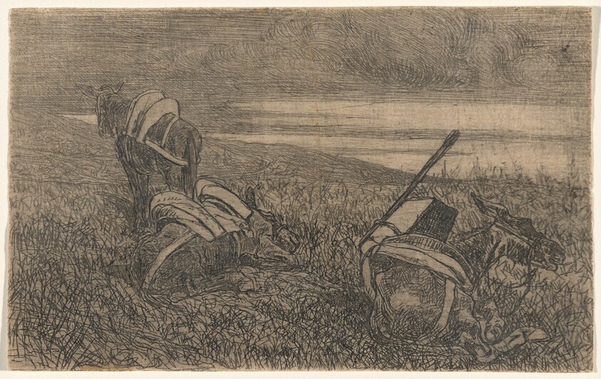 Little Donkeys at Rest (Sosta di somarelli)